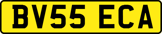 BV55ECA