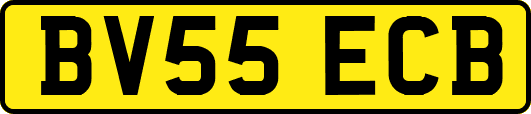 BV55ECB