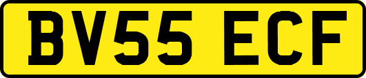 BV55ECF