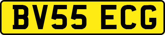 BV55ECG