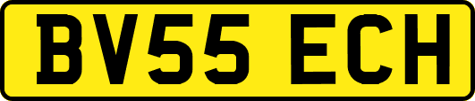 BV55ECH