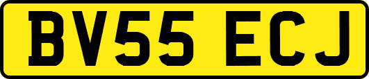 BV55ECJ