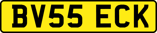 BV55ECK
