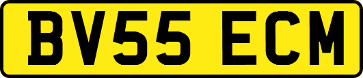BV55ECM