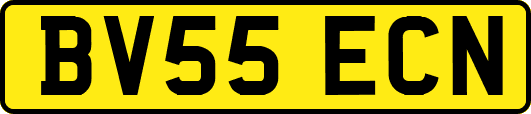 BV55ECN