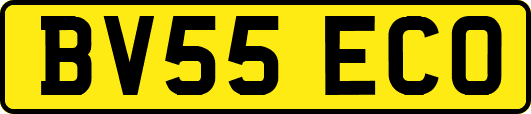 BV55ECO