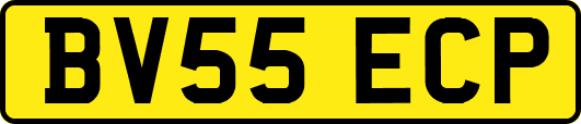 BV55ECP
