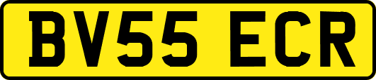 BV55ECR