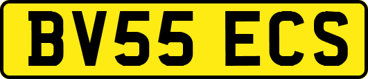 BV55ECS