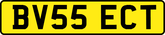 BV55ECT