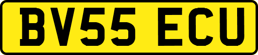 BV55ECU