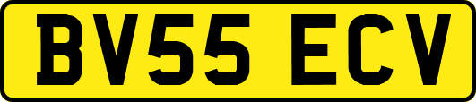 BV55ECV