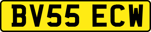 BV55ECW