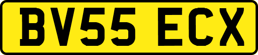 BV55ECX