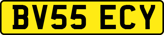 BV55ECY