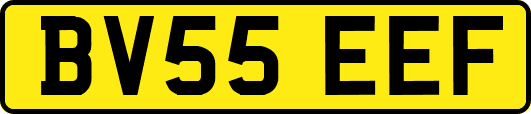 BV55EEF