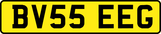 BV55EEG