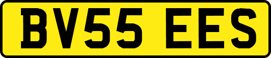 BV55EES