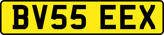 BV55EEX