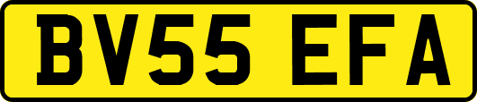 BV55EFA