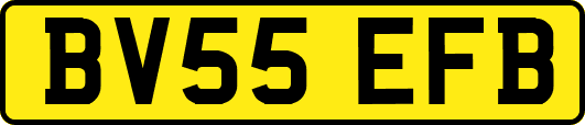 BV55EFB