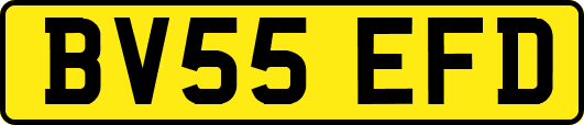 BV55EFD
