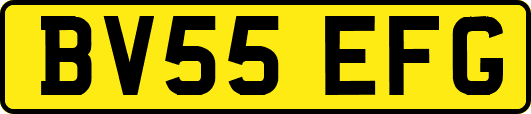 BV55EFG