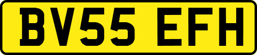 BV55EFH