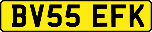 BV55EFK