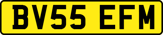 BV55EFM