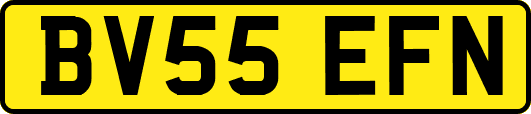 BV55EFN