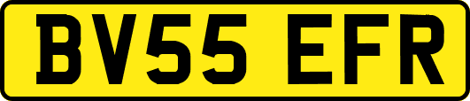 BV55EFR