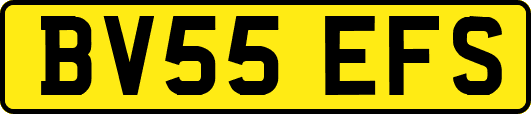 BV55EFS