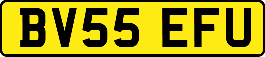 BV55EFU