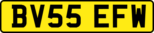 BV55EFW