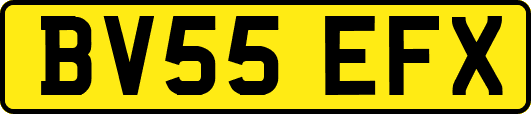 BV55EFX