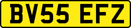 BV55EFZ