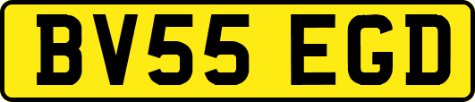 BV55EGD