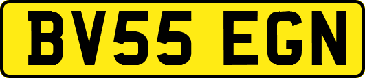 BV55EGN