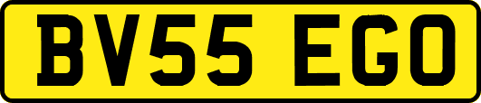 BV55EGO