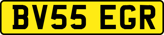BV55EGR