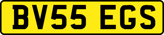 BV55EGS