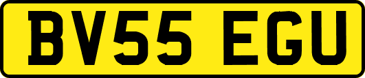 BV55EGU