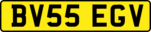BV55EGV