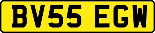 BV55EGW