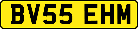 BV55EHM
