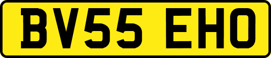 BV55EHO