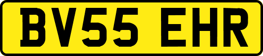 BV55EHR