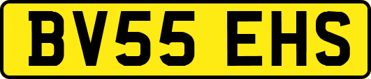BV55EHS