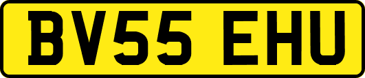 BV55EHU